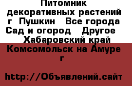 Питомник декоративных растений г. Пушкин - Все города Сад и огород » Другое   . Хабаровский край,Комсомольск-на-Амуре г.